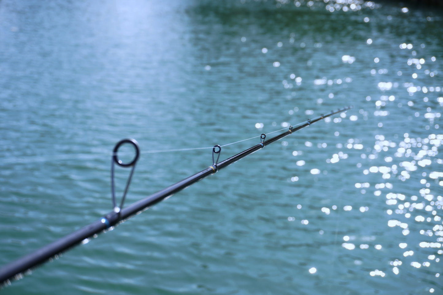 7' 10-17 lb. Inshore